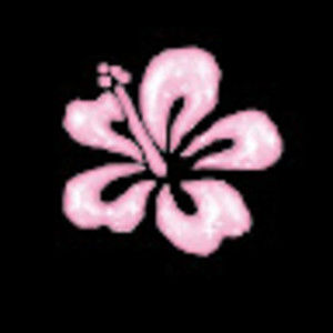 Meet your Posher, Hasher